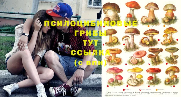 винт Абинск