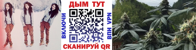Марихуана Amnesia  Шлиссельбург 